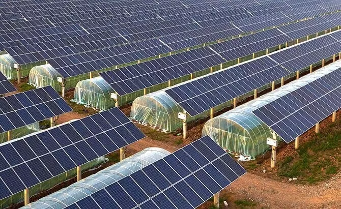 Solution Photovoltaïque Agricole