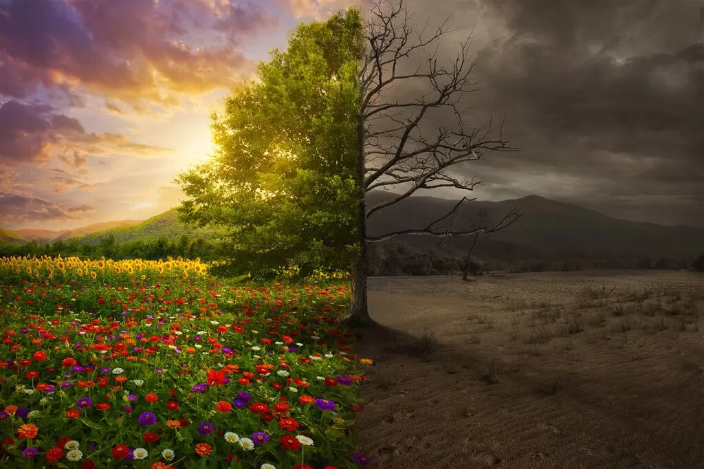 Comment les taux d'int&eacute;r&ecirc;t fa&ccedil;onnent l'avenir de l'&eacute;nergie propre