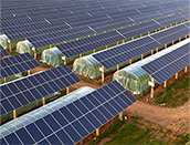 Solution photovolta&iuml;que agricole